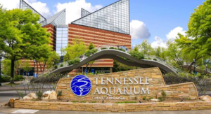 A sign for the tennessee aquarium in chattanooga.