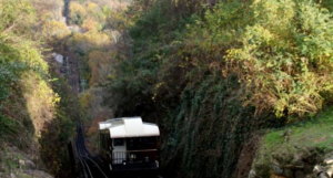 A train traveling down tracks next to trees.