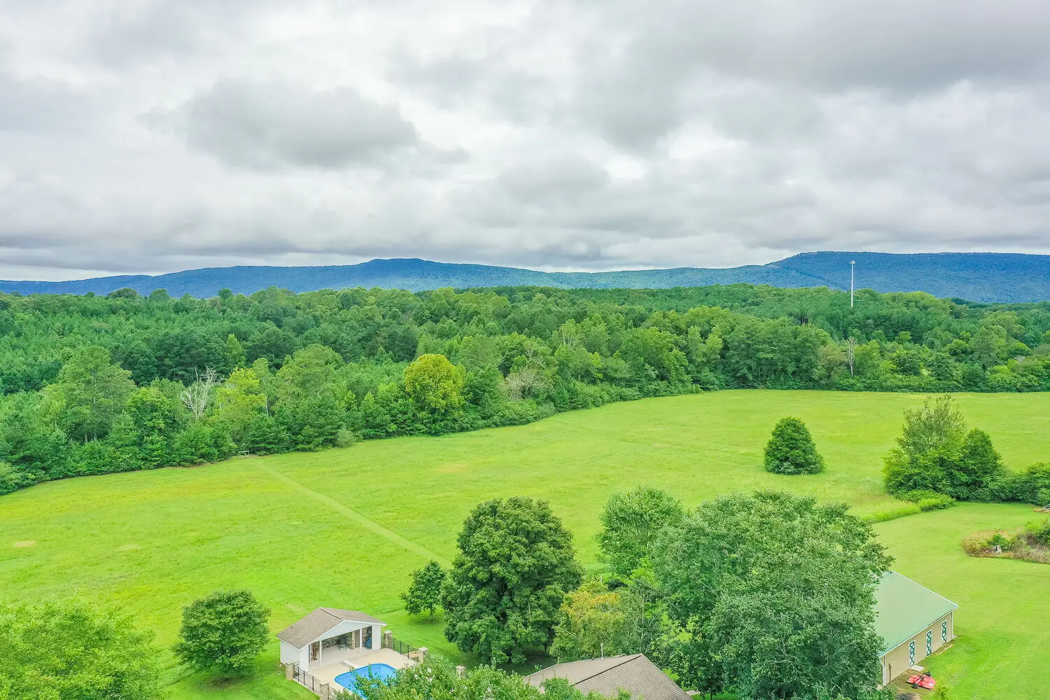 A large green field with trees and a pool in the middle.